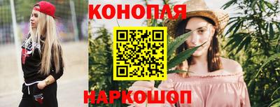 спайс Гай