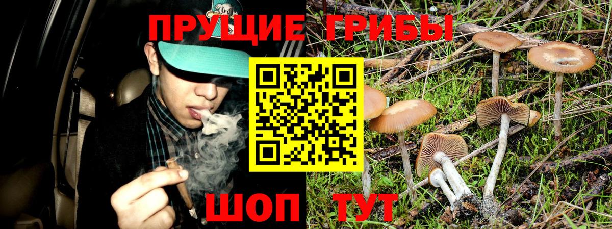 Изобильный  Галлюциногенные грибы GOLDEN TEACHER  Вход с VPN  Галлюциногенные грибы Cubensis 