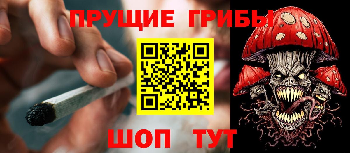 Псилоцибиновые грибы GOLDEN TEACHER Изобильный